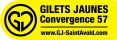 Logo of GJ-57